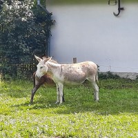 Adaptační kurz 2023 - 6. A